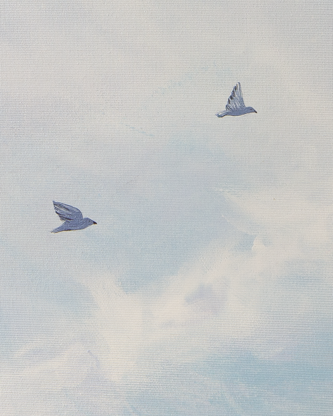 Safe Haven - Image 2