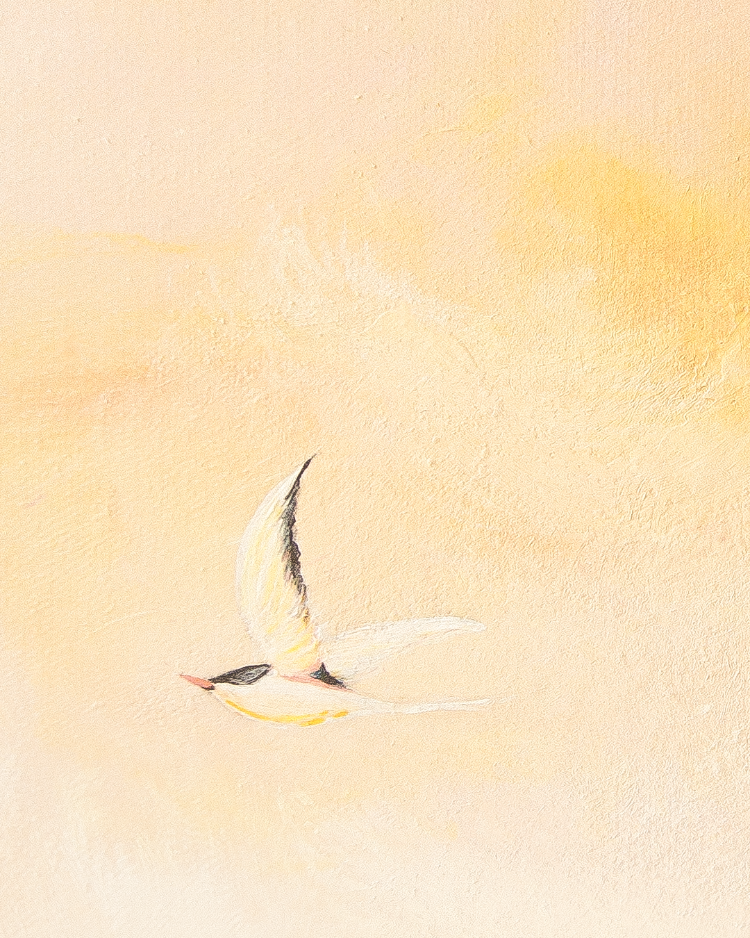 Golden Hour - Image 4